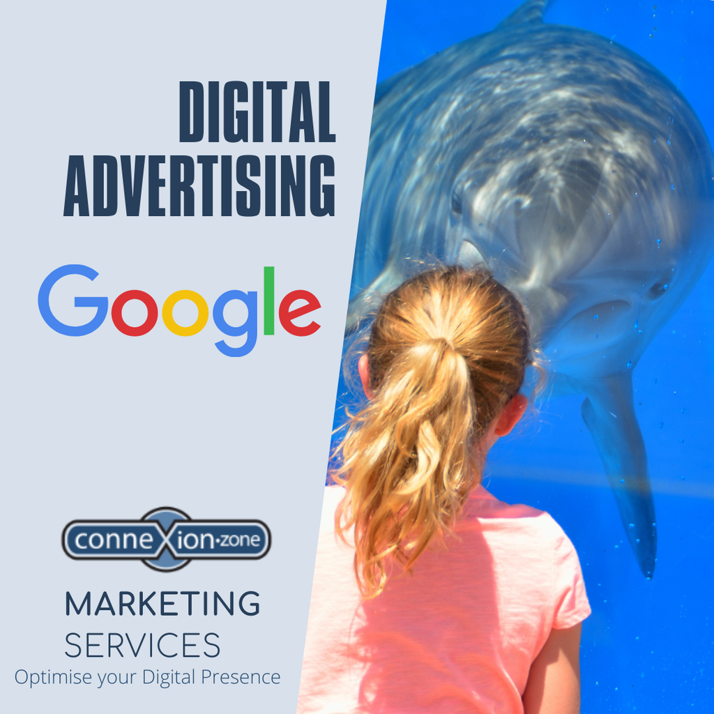 Google Advertising (Search Campaign, Less than $1000)