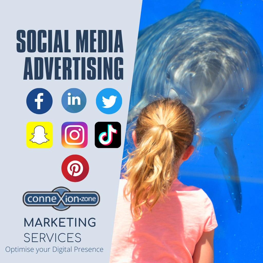 Social Media Advertising (Less than $1000, LinkedIn Advertising)