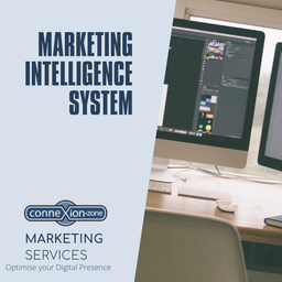[Monthly] MIS (Marketing Intelligence System)